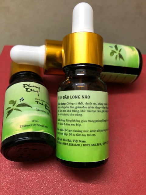 Tinh dầu Long Não - Phương Đông 10ml