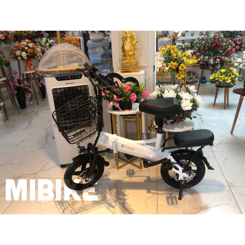 Xe điện gấp G-Force G14 thương hiệu Mỹ 70-150km