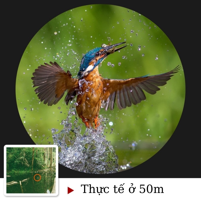 Ống nhòm 1 mắt Baigish 8-24x40 cao cấp - Chuyên dụng đi săn, du lịch, dã ngoại, quan sát dành cho trẻ em và người lớn | BigBuy360 - bigbuy360.vn