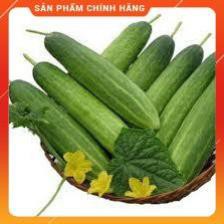 HẠT GIỐNG DƯA LEO XANH F1 VA103