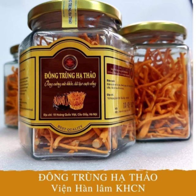 Đông trùng hạ thảo (HÀNG CHUẨN của VIỆN HÀN LÂM)