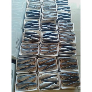 (SHIP HOẢ TỐC 1H) Cá thu nguyên con ướp 500gram