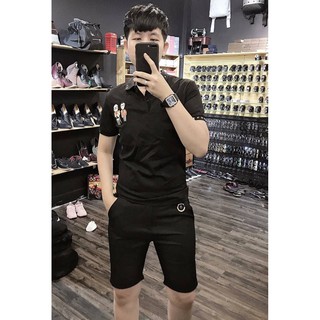 Áo thun nam korean cỗ bẻ thêu logo form cực đẹp