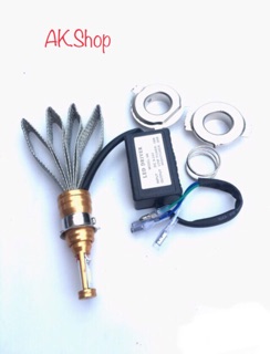 LED PHA TẢN NHIỆT ĐUÔI CÔNG 2 TIM