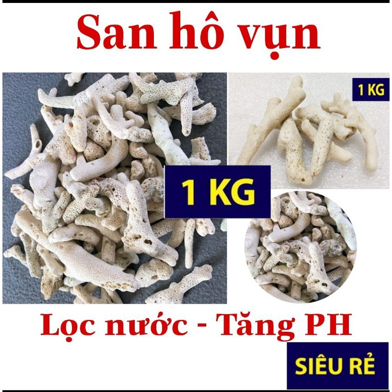 San hô vụn trang trí hồ cá 1kg giúp tăng PH