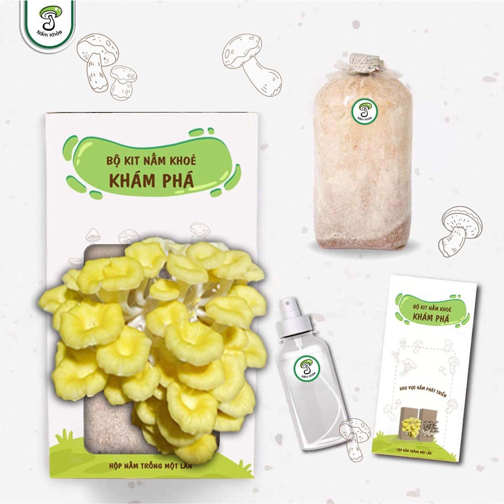 BỘ KIT TRỒNG NẤM (Bào ngư xám/Hoàng kim/Hồng ngọc/Sò thái) TẶNG BÌNH XỊT - NẤM KHỎE