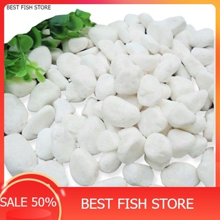 Sỏi trắng tự nhiên trang trí bể cá, bể thủy sinh