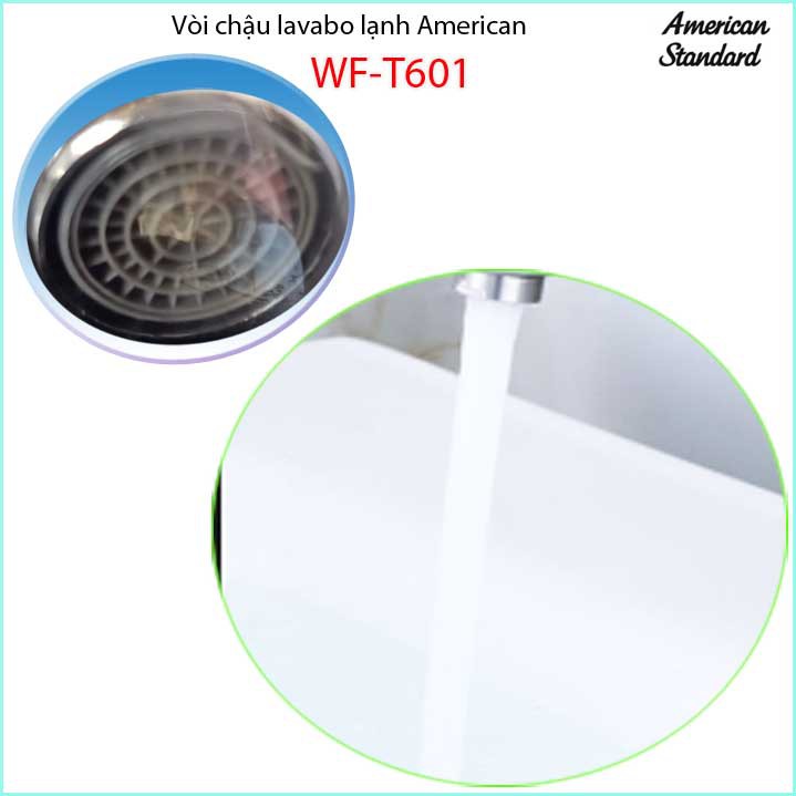 Vòi chậu rửa mặt American Standard chính hãng WF-T601, vòi lavabo thiết kế mới xả nước mạnh siêu bền