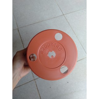 20 chậu lan giả đất fi 20