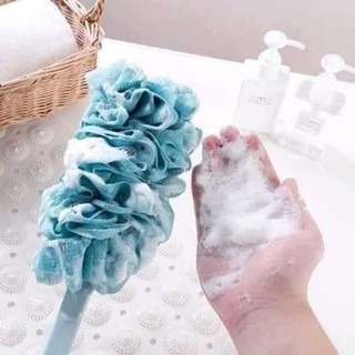 CÂY BÔNG TẮM KỲ LƯNG.