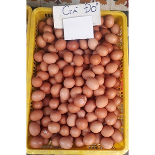 Trứng gà đỏ (loại to,đảm bảo tươi ngon) khay 10 quả