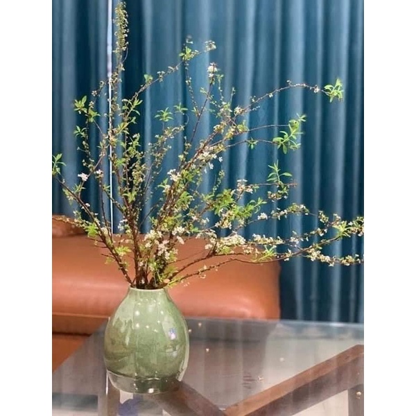 Bình Hoa Lọ Hoa Sứ Nhiều Mẫu Dáng Nhỏ Xinh Men Thiên Thanh Gốm Sứ Bát Tràng - Gốm Bích