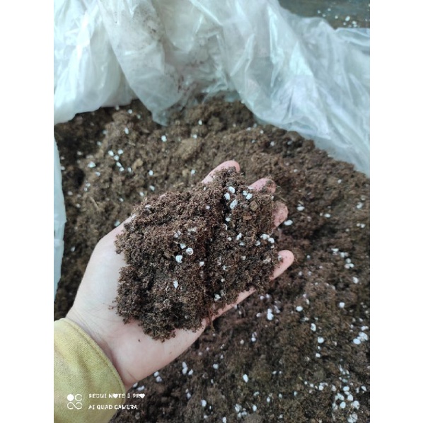 Giá thể trồng hương thảo và gia vị (siêu nhẹ đã trộn sẵn) bịch 3kg
