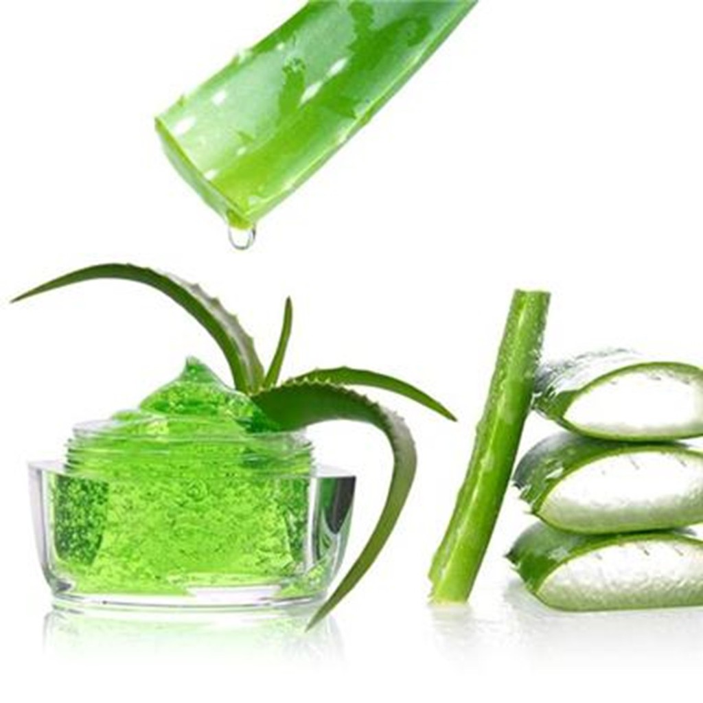 Sữa Tắm Dưỡng Ẩm Aloe Vera Thorakao 500ml