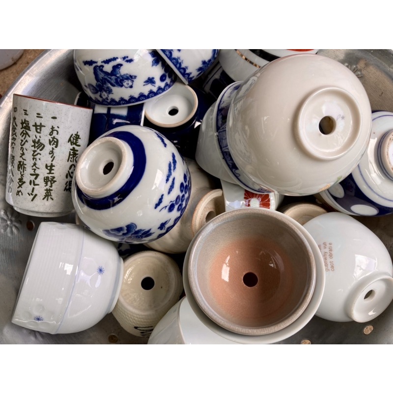 Chén Nhật trồng sen đá xương rồng