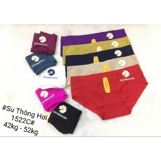 COMBO 5 QUẦN LÓT SU NỮ HOA CÚC ❤️