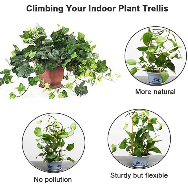 Giá Đỡ Cây Dây Leo Bằng Kim Loại Thiết Kế Hình Học Sáng Tạo