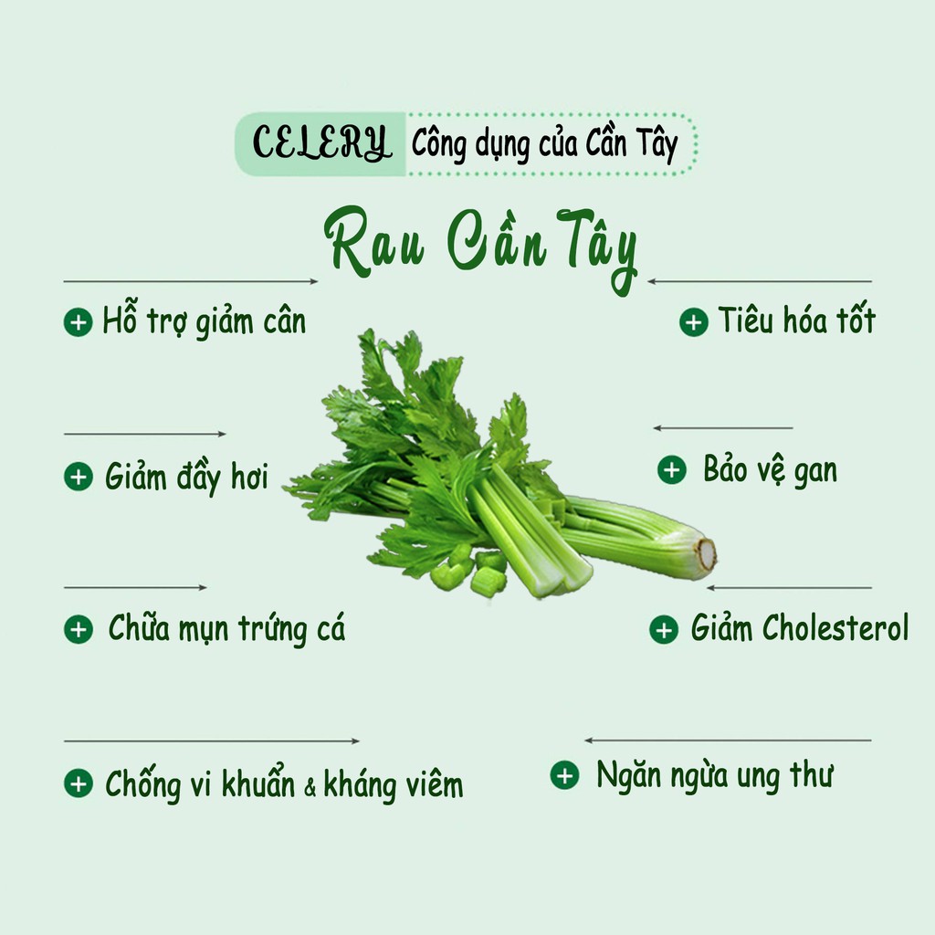 Bánh Ăn Kiêng Biscotti Bánh Rau Tươi Cần Tây &amp; Cải Kale Hũ 90 Bổ sung chất xơ dùng ăn kiêng ăn chay giảm cân eat clean