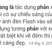 Quần thun 3 SỌC PHẢN QUANG Unisex
