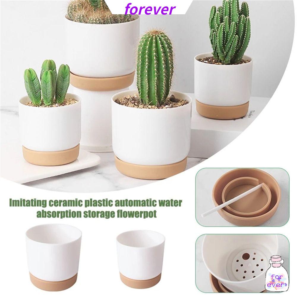 Chậu trồng cây/hoa lan bằng gốm hình tròn có lỗ thoát nước