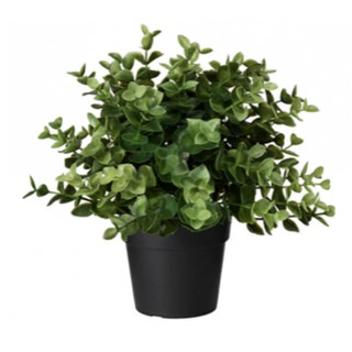 Cây giả FEJKA ikea chính hãng ( có sẵn)