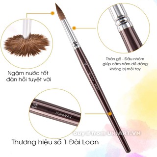 (RẺ NHẤT) Cọ vẽ Lông Sóc Sunway Basic