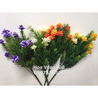 Hoa hồng nhựa