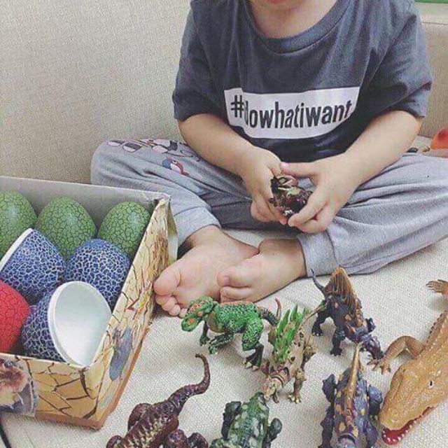 Đồ chơi cho bé trứng khủng long
