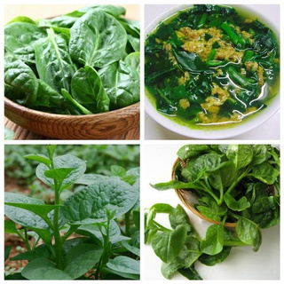 [Rẻ Vô Địch] Hạt Giống Rau Mồng Tơi