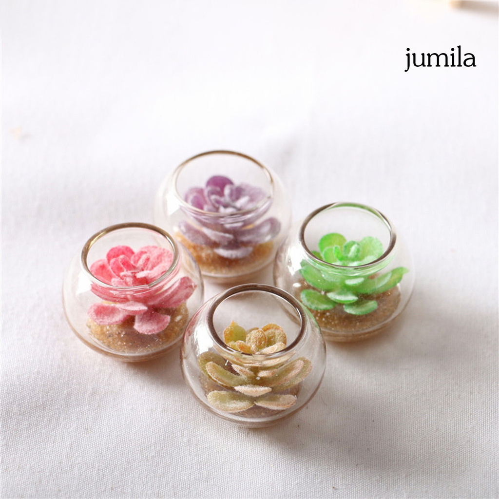 Chậu Cây Mọng Nước Mini Trang Trí Nhà Búp Bê