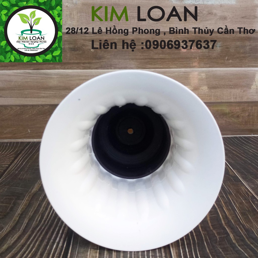 Chậu nhựa ly cúp 20x30cm