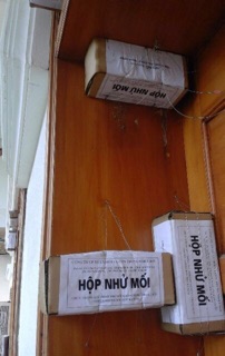 Hộp nhử mối loại 1 Đạt chuẩn
