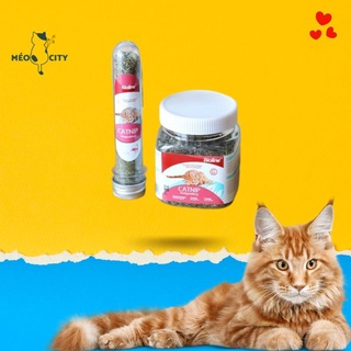 Cỏ bạc hà cho mèo[FREESHIP] Cỏ mèo catnip cho mèo vui vẻ, hiếu động