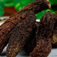 Nhục Thung Dung bổ thận tráng dương, kiện gân cốt, nhuận tràng DV093