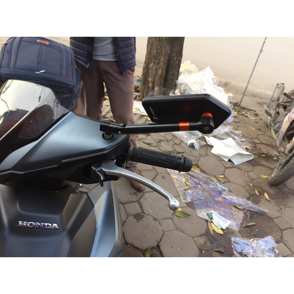 Gương sò rizoma