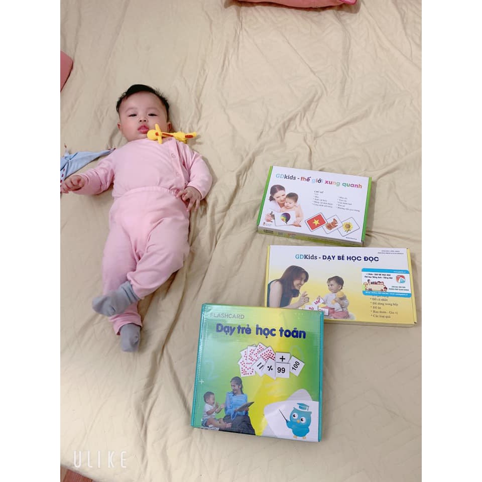 [Mã LT50 giảm 50k đơn 250k] Flashcard - Combo Bộ Thẻ Cơ Bản Theo Phương Pháp Glenn Doman (Hôp 259 thẻ)