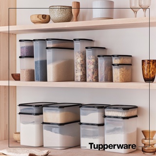 Bộ kệ bếp MM Starter set (4) Tupperware