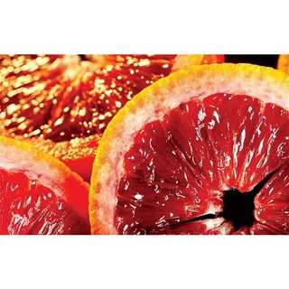 Cam máu Blood Orange (chuẩn giống)
