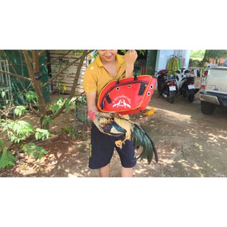 túi đựng gà thái lan