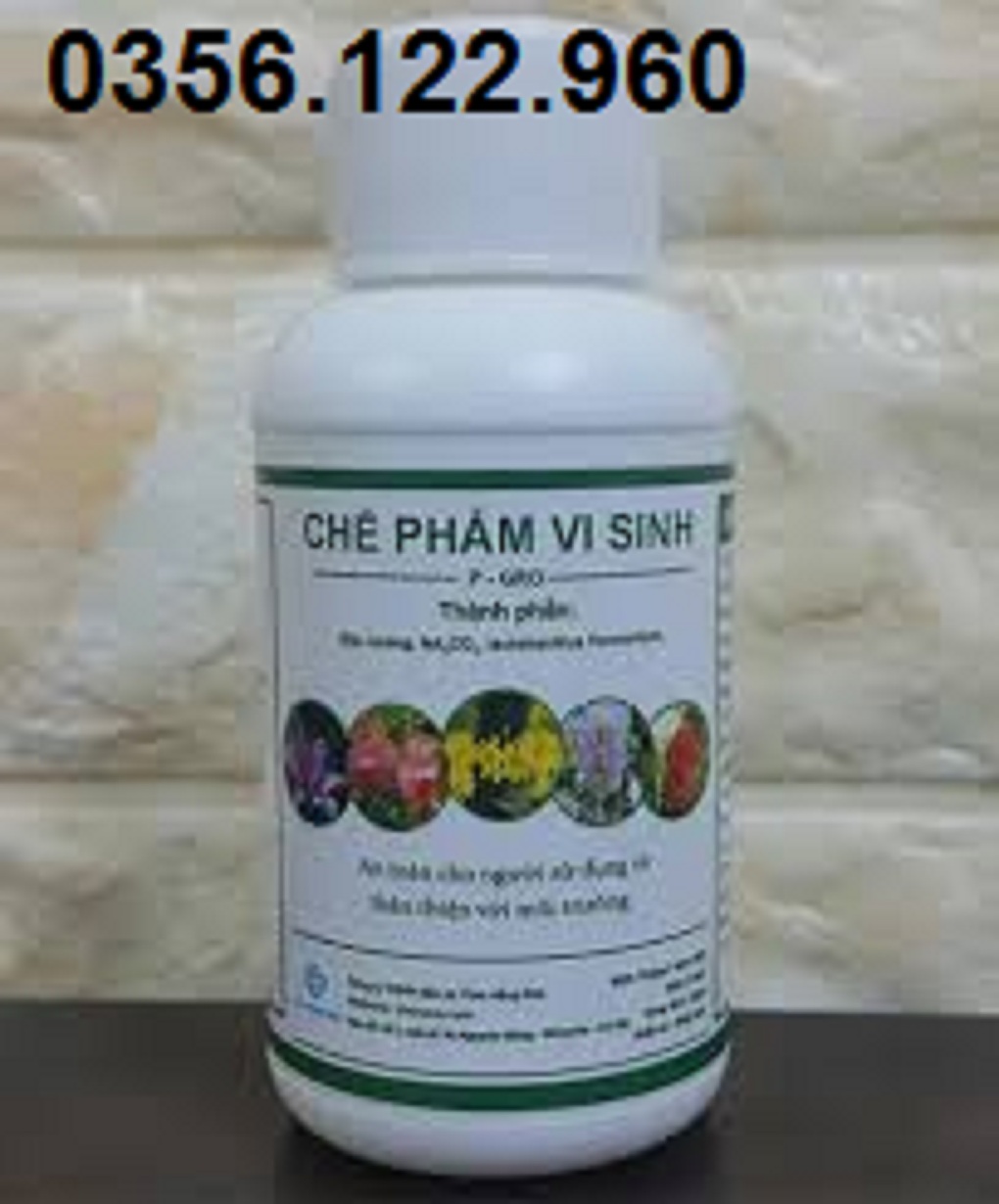 bộ 3 lọ Chế Phẩm Vi Sinh Hữu Cơ P-GRO Trừ Nấm Sâu Bệnh