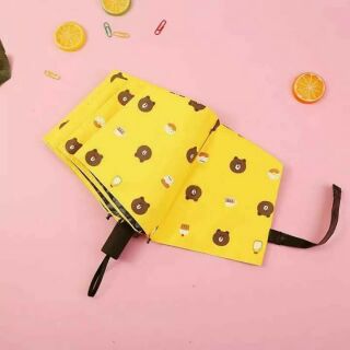 Ô Gấp Gọn Hình Gấu Brown Siêu Cute