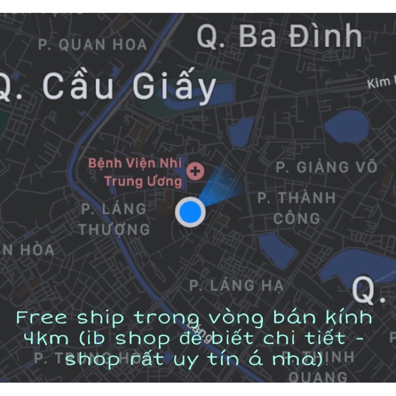 [Mua là có quà] Dây gai kèm ảnh mini trang trí phòng