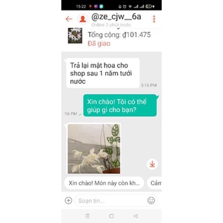 Lan trầm trắng tinh khôi cánh mai( trầm var cánh mai)