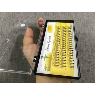 Mi chùm 5D sợi cong mềm