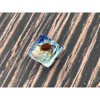 keycap rùa biển