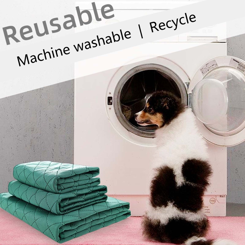 Đệm Huấn Luyện Cún Cưng Chống Trượt Tiện Dụng