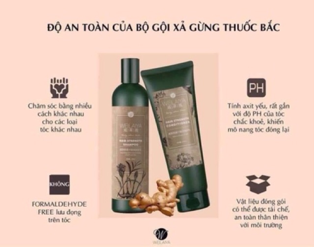 Bộ Gội Xả Gừng thuốc bắc Hà Thủ Ô tặng sét mini | BigBuy360 - bigbuy360.vn