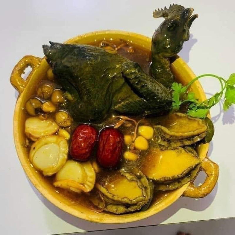 SET SƠN HÀO HẢI VỊ