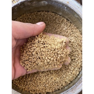 500g cám viên hạt nhỏ gà con, chim con