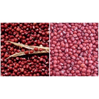 Đậu đỏ (xích tiểu đậu) 100g